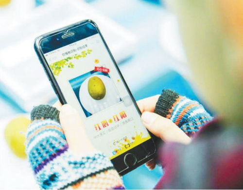 智慧大腦賦能民生 人工智能應用軟件的開發與生活體驗提升